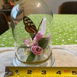 Vintage butterfly terrarium